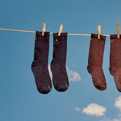 Smartwool Everyday Anchor Line Crew Socks