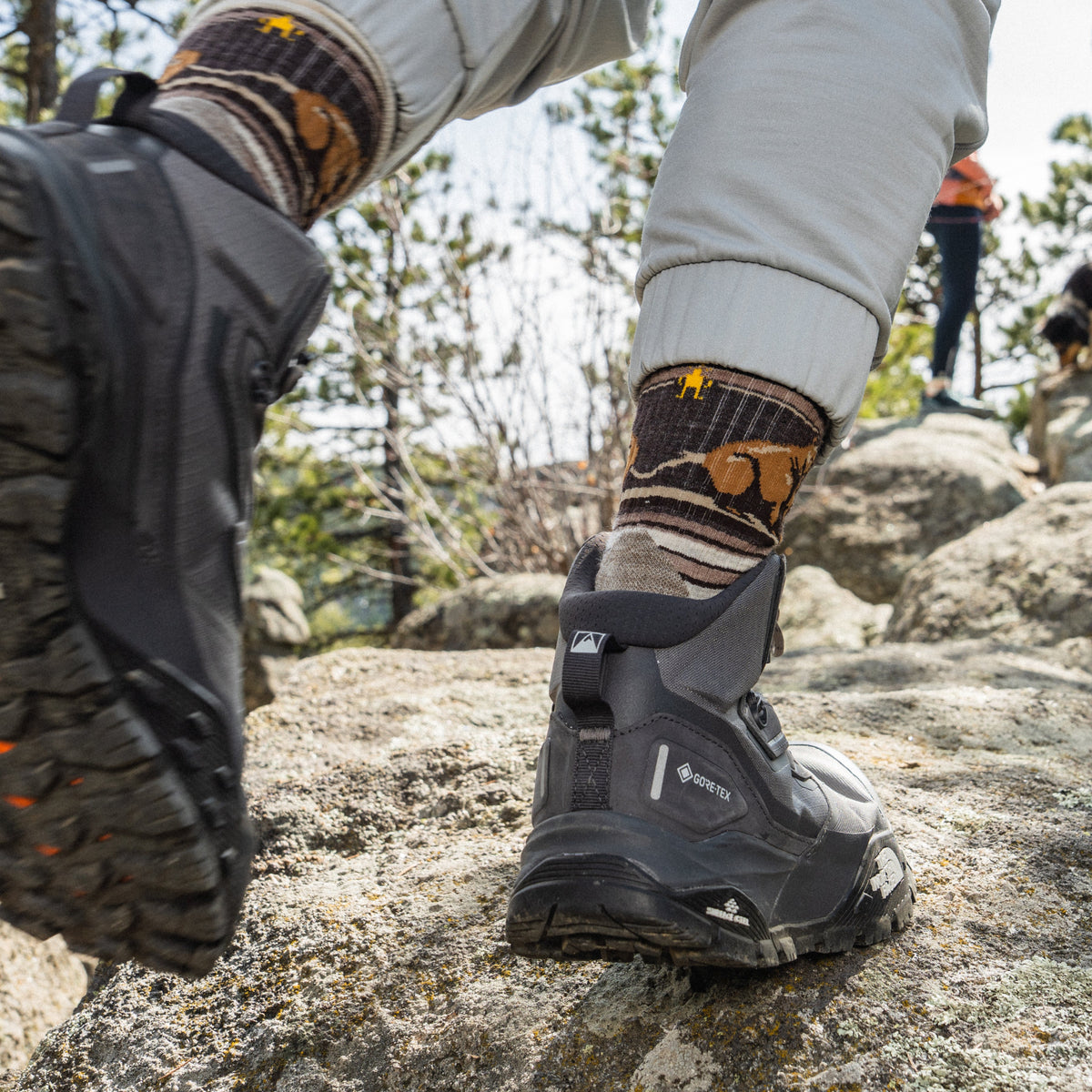 Smartwool Hike Bear Stripe Mid Crew Socks