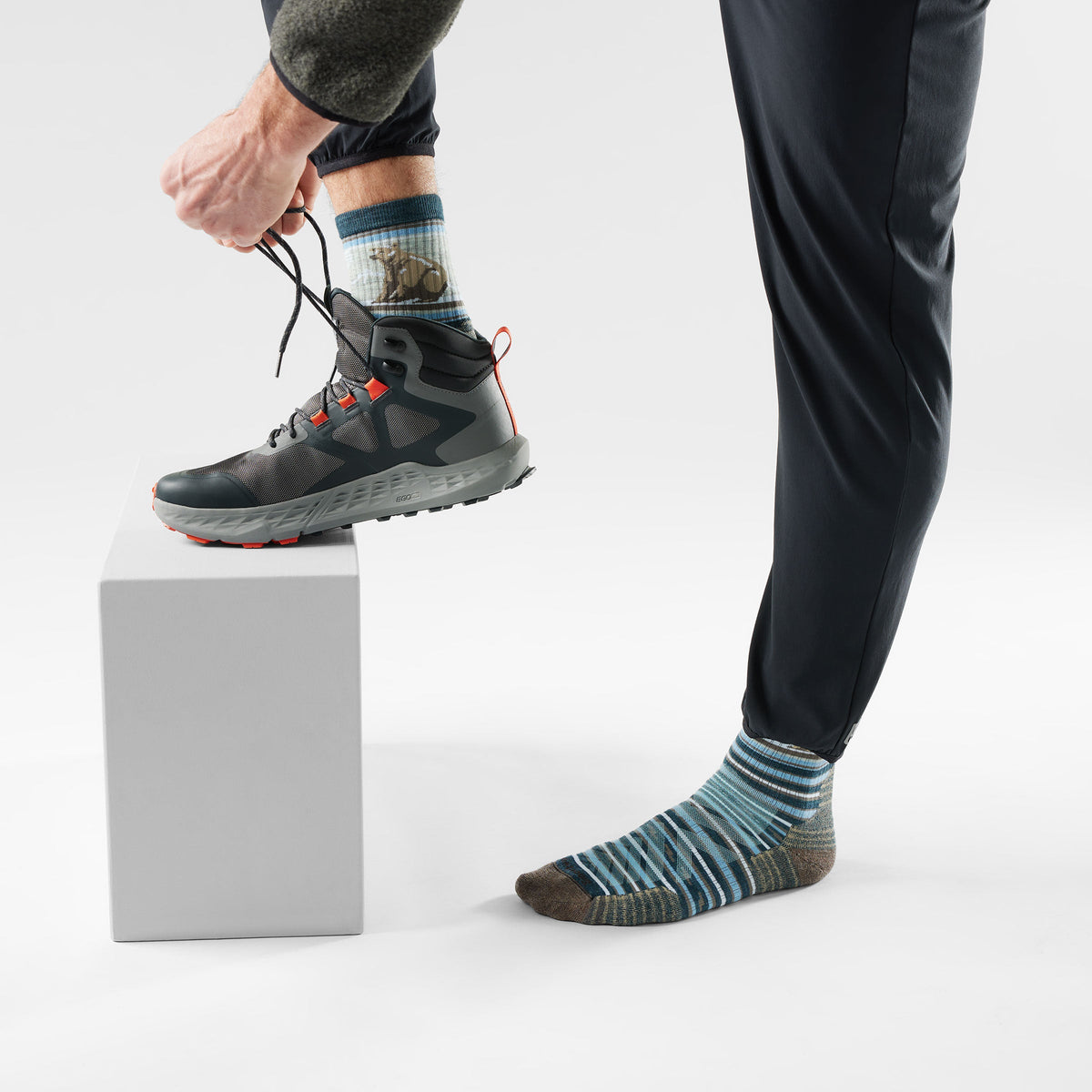 Smartwool Hike Bear Stripe Mid Crew Socks