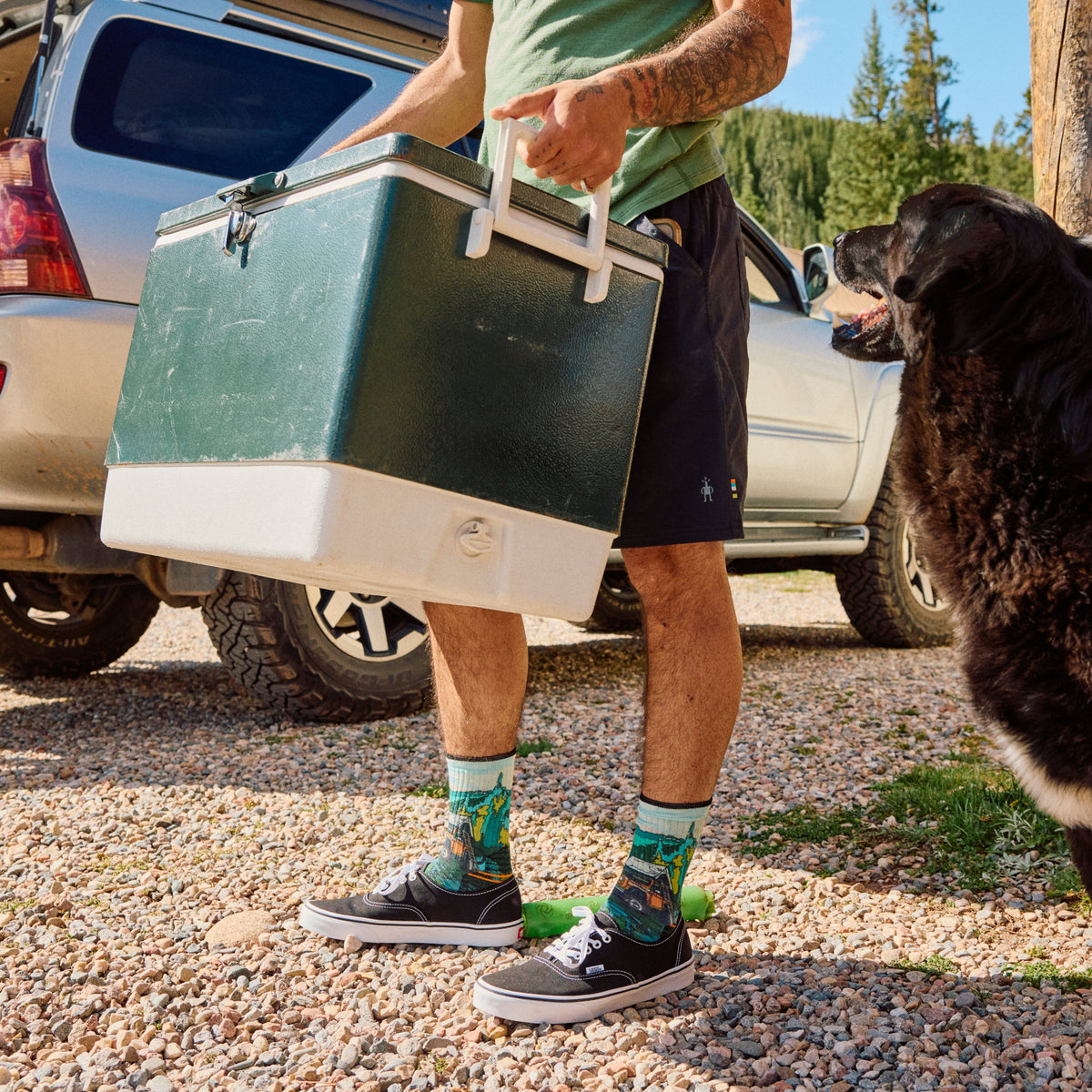 Smartwool Hike Trail Trekker Print Crew Socks