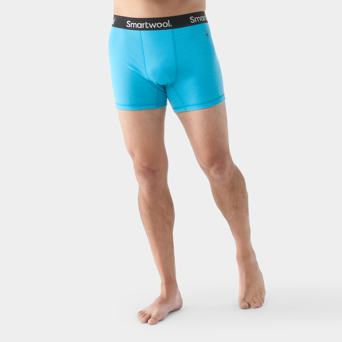 Smartwool Men's Active Boxer Brief